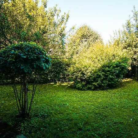 Visitalps Garten-Wohnung - Zentral, Ruhig, Bahnhofsnah شقة روزنهايم